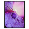 And Flowers C 7 - Close-ups Canvas Print by doingly