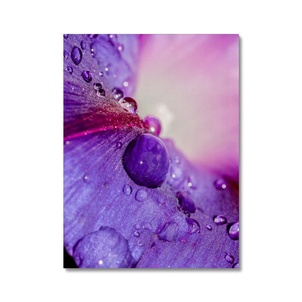 And Flowers C 2 - Close-ups Canvas Print by doingly