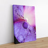 And Flowers C 1 - Close-ups Canvas Print by doingly