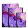 And Flowers C 8 - Close-ups Canvas Print by doingly