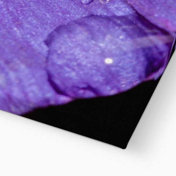 And Flowers C 4 - Close-ups Canvas Print by doingly