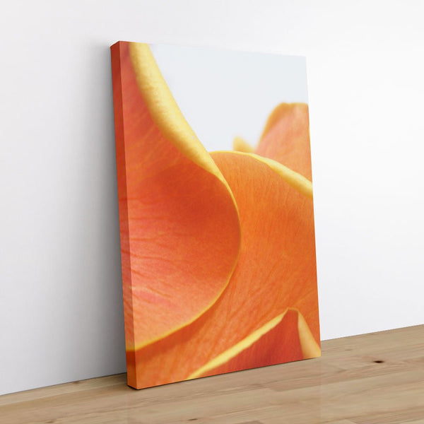 And Flowers D 1 - Close-ups Canvas Print by doingly