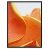 And Flowers D - Close-ups Canvas Print by doingly