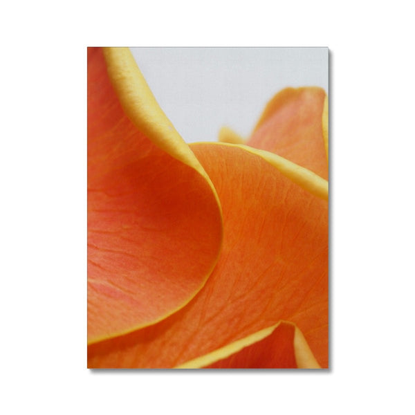 And Flowers D 2 - Close-ups Canvas Print by doingly