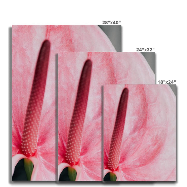 And Flowers E - Close-ups Canvas Print by doingly