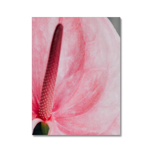 And Flowers E 2 - Close-ups Canvas Print by doingly