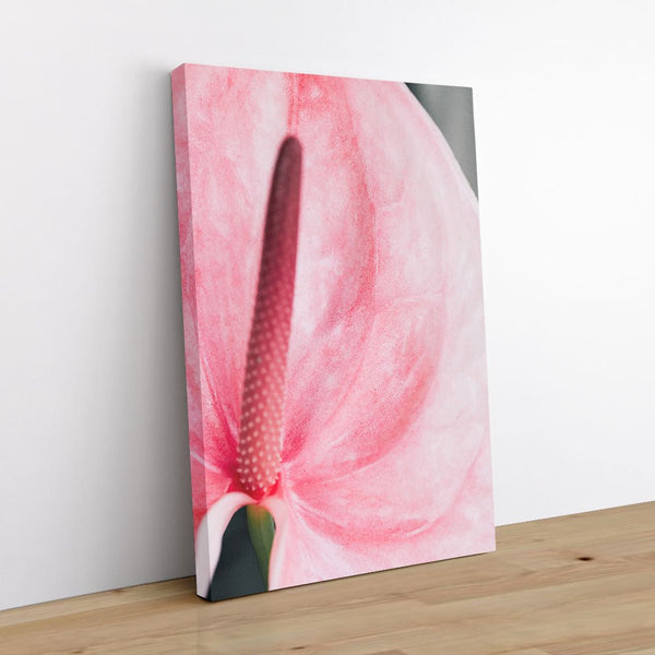 And Flowers E 1 - Close-ups Canvas Print by doingly