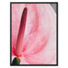 And Flowers E - Close-ups Canvas Print by doingly