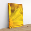 And Flowers F - Close-ups Canvas Print by doingly