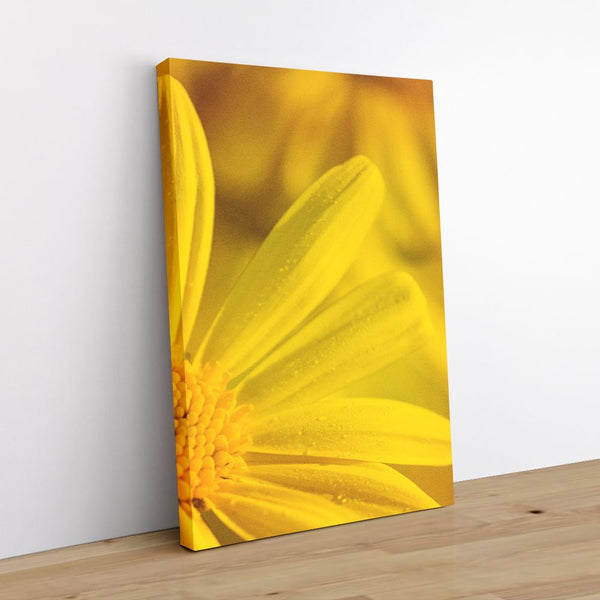 And Flowers F 1 - Close-ups Canvas Print by doingly