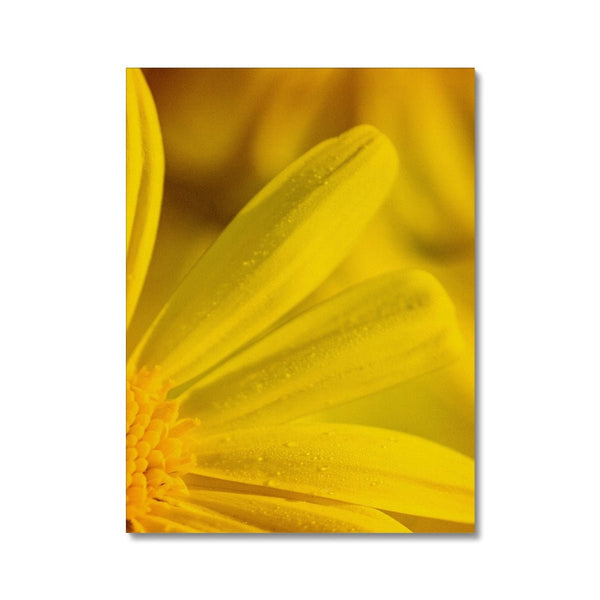 And Flowers F - Close-ups Canvas Print by doingly