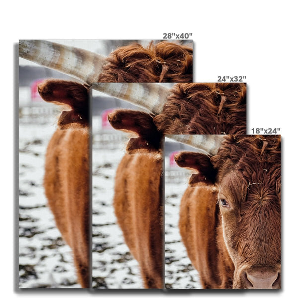 Curious Kate - Animal Canvas Print by doingly