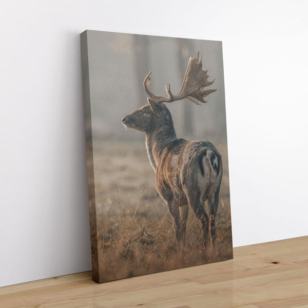 Lockhart 1 - Animal Canvas Print by doingly