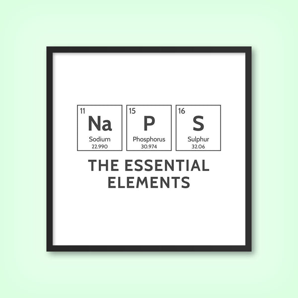 NAPS (Elements) - Tile Art Print by doingly