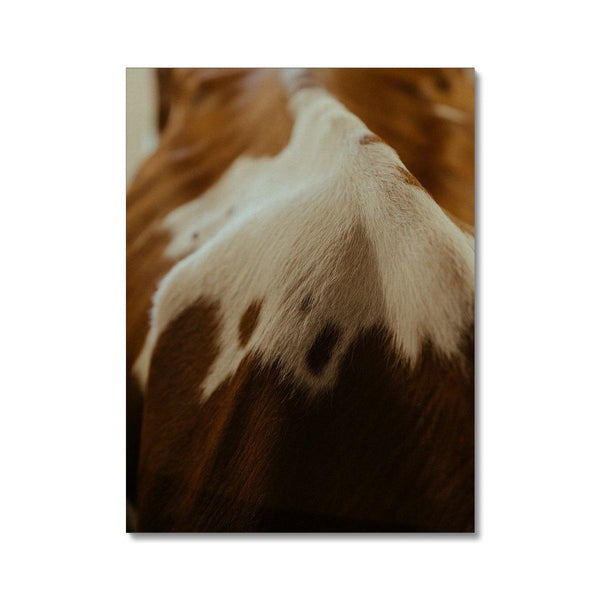 I'm Back 2 - Animal Canvas Print by doingly