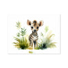 Jungle Baby Animals - Zebra 6 - Animal Poster Print by doingly