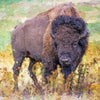 Portrait - Bison 2 - Animal Matte Print by doingly