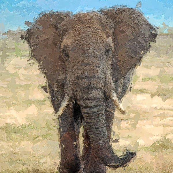 Portrait - Elephant 2 - Animal Matte Print by doingly