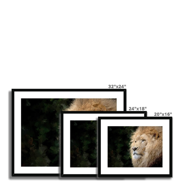 Portrait - Lion 4 - Animal Matte Print by doingly