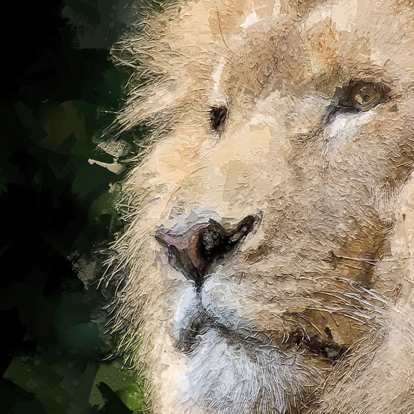 Portrait - Lion 2 - Animal Matte Print by doingly
