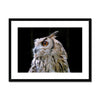 Portrait - Owl 1 - Animal Matte Print by doingly