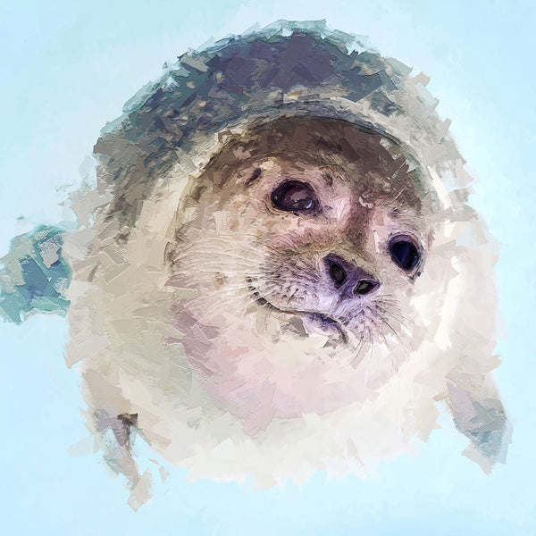 Portrait - Seal 2 - Animal Matte Print by doingly