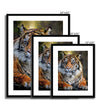 Portrait - Tiger 5 - Animal Matte Print by doingly