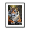 Portrait - Tiger 1 - Animal Matte Print by doingly