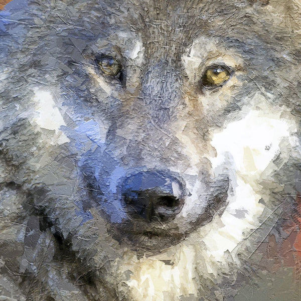 Portrait - Wolf 2 - Animal Matte Print by doingly