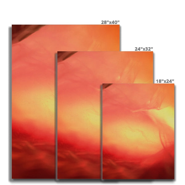 Radiance - Abstract Canvas Print by doingly