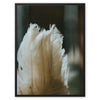 Shake a Feather - Animal Canvas Print by doingly