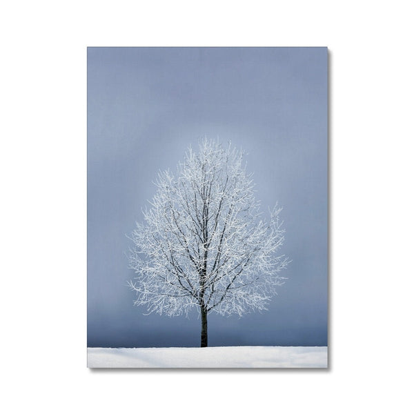 Silver Morning 6 - Landscapes Canvas Print by doingly