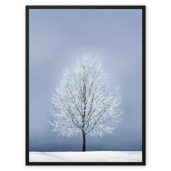 Silver Morning 8 - Landscapes Canvas Print by doingly