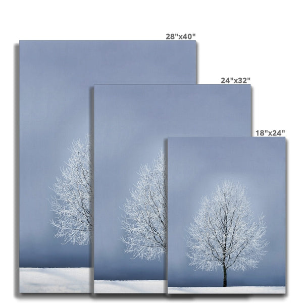 Silver Morning 7 - Landscapes Canvas Print by doingly