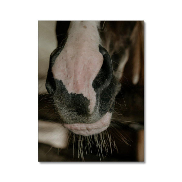 The Nose Knows - Animal Canvas Print by doingly