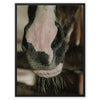 The Nose Knows - Animal Canvas Print by doingly
