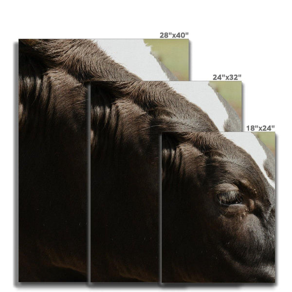 Whatchu Lookin' At? 7 - Animal Canvas Print by doingly