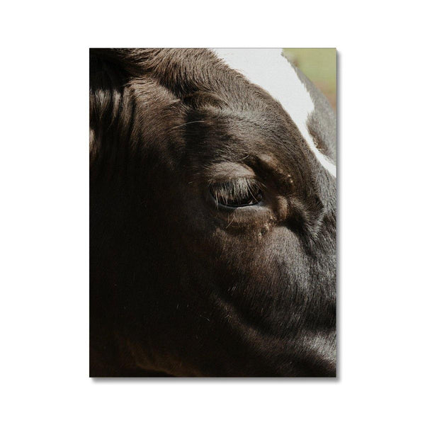 Whatchu Lookin' At? 2 - Animal Canvas Print by doingly
