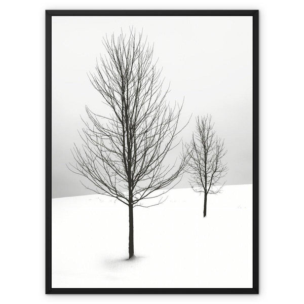 Winter Solitude - Landscapes Canvas Print by doingly