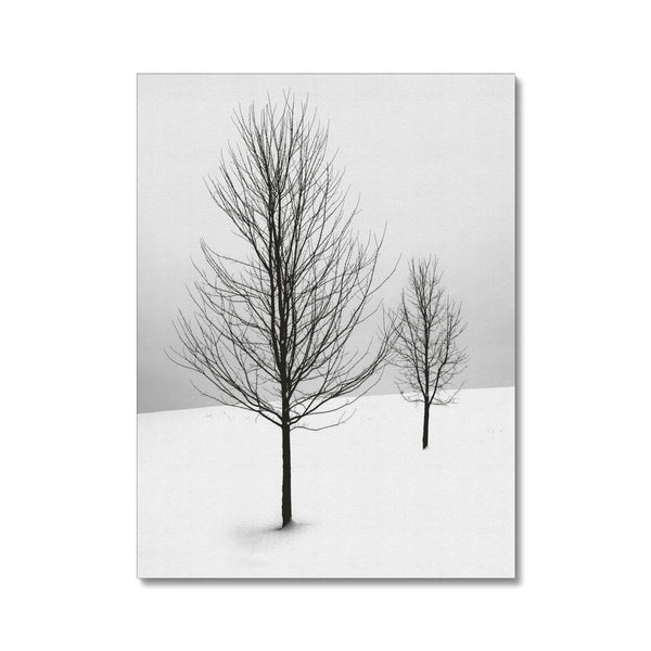 Winter Solitude 2 - Landscapes Canvas Print by doingly